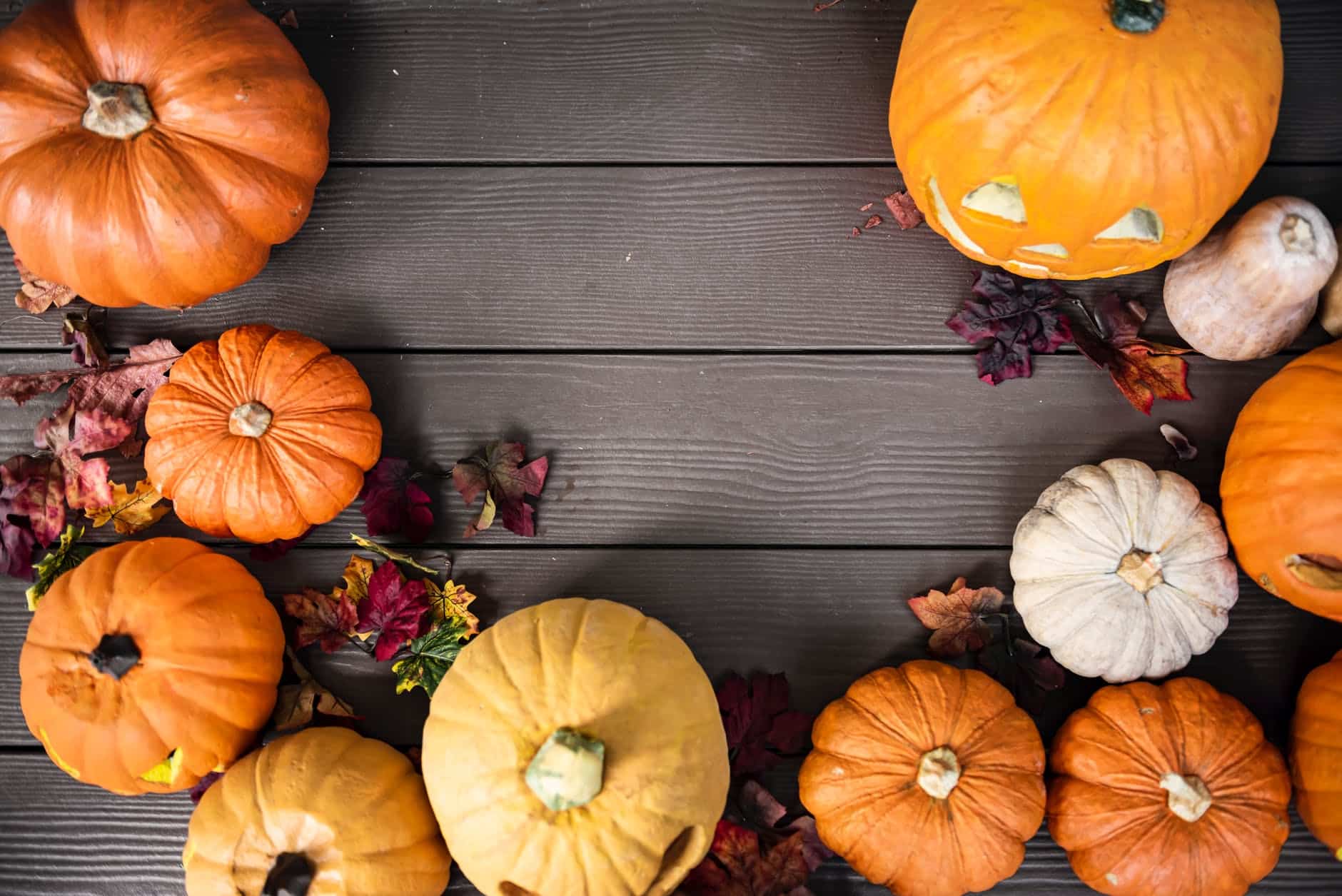 Genius Ways to Celebrate Halloween When You Have No Money